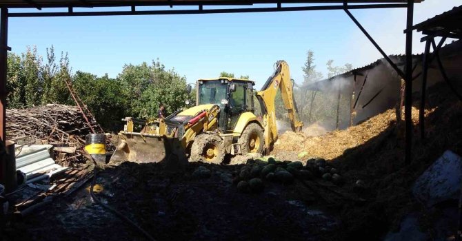 Antalya’da 2 yıl arayla ikinci kez yanan ahırda hayvanlar telef oldu
