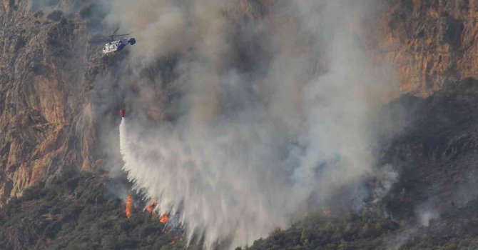 Mersin’deki orman yangınında çok sayıda sera da zarar gördü