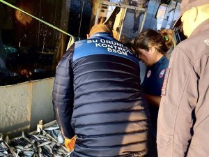 Mersin’de yasa dışı balık avcılığına karşı denetimler sürüyor