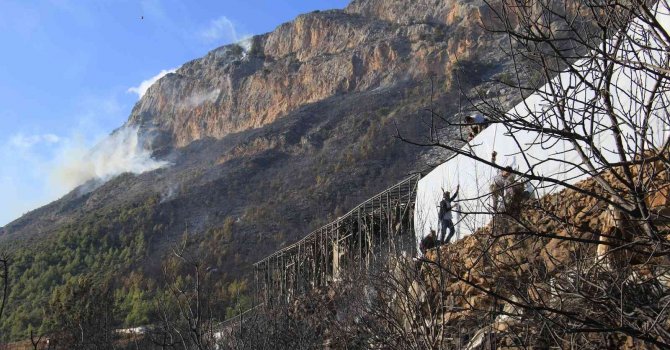 Mersin’deki orman yangınında 75 hektar ormanlık alan ile 25 dönüm sera yandı