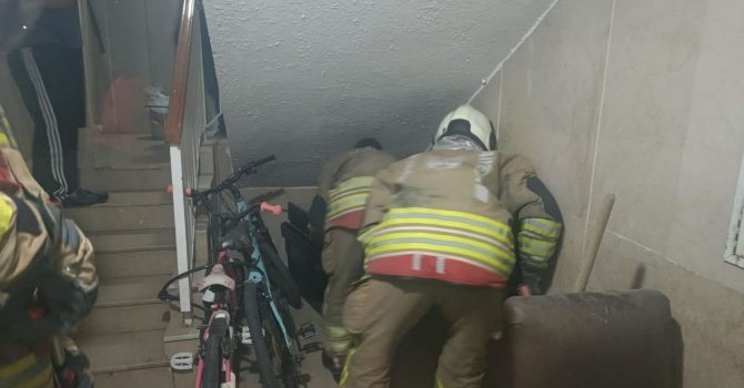 İskenderun’da yerleşim yerinde görülen yılan yakalanarak doğaya bırakıldı