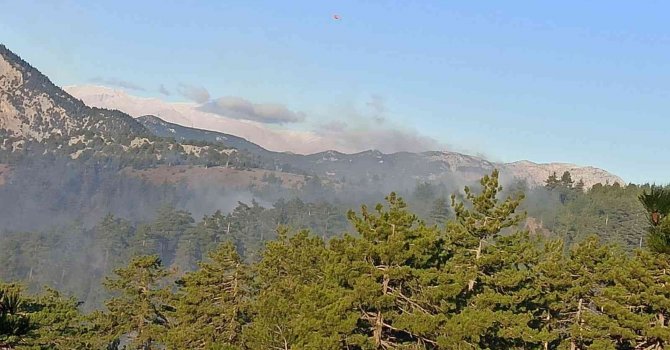 Adana’da orman yangını