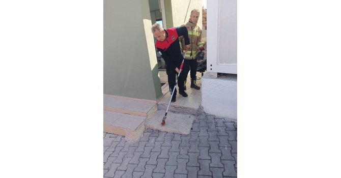 Yayladağı’nda yerleşim yerinde görülen yılan doğaya bırakıldı