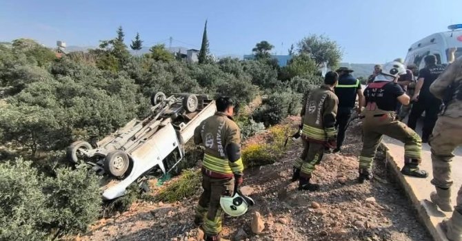 Zeytinliğe uçan kamyonetin sürücüsü yaralandı