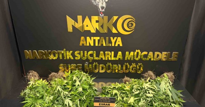 Antalya’da 32 operasyonda 28 bin 519 sentetik ecza ele geçirildi