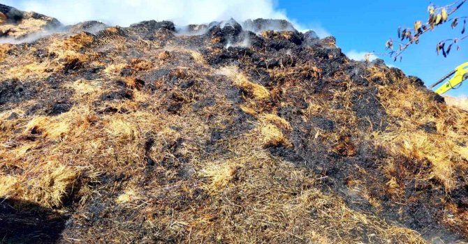 Isparta’da çıkan yangında bin 150 balya kül oldu