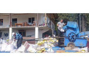 Andırın’da yerli mısır hasadı, Patosta çekilen mahsul güneşte kurutuluyor