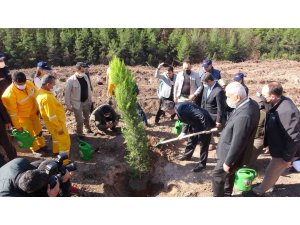 Osmaniye’de yanan ormanlık alanda fidanlar toprakla buluştu