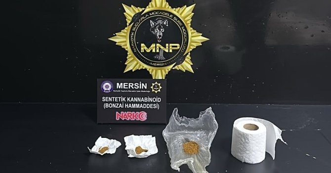 Mersin’de torbacı operasyonu: 2 tutuklama