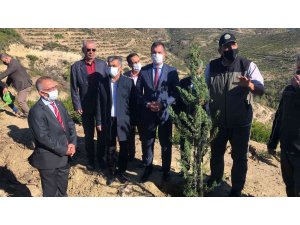 Yanan orman alanları fidanla buluştu