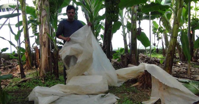 Mersin’de fırtına seraları vurdu