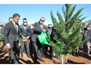 Mersin’de yanan ormanlık alanlar fidanla buluştu