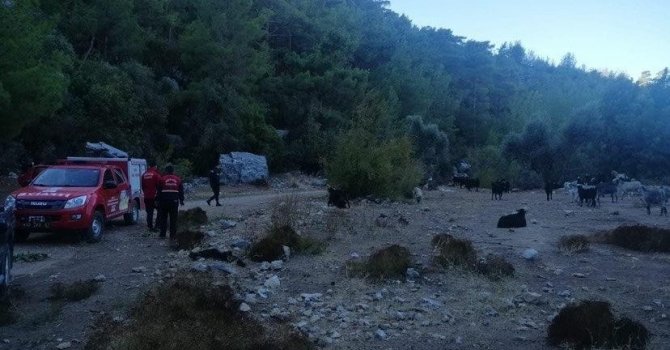 Ormanlık alanda kaybolan 3 yaşındaki çocuğu arama çalışması başladı