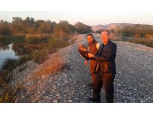 Tedavisi tamamlanan kartal doğaya salındı