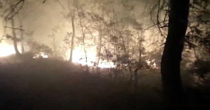 Osmaniye’de çıkan orman yangını kontrol altına alındı