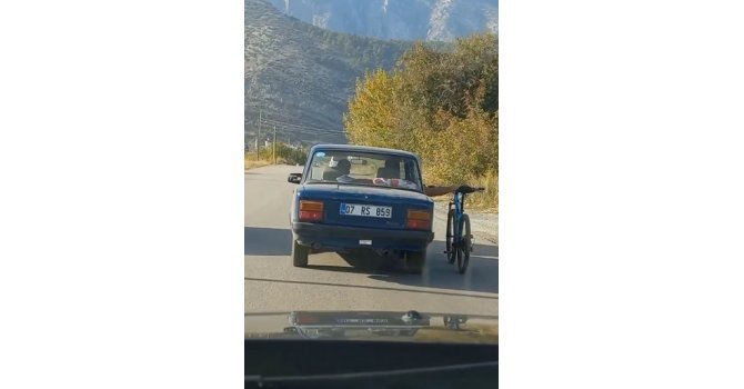 Otomobile sığmayan bisikletin tehlikeli yolculuğu