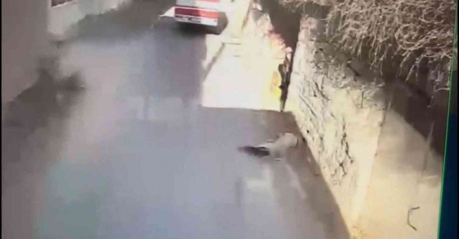 Köpeğe çarpıp ölüme terk ettiği anlar saniye saniye görüntülendi