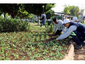 Akdeniz Belediyesi, park ve yeşil alanları çiçeklendiriyor