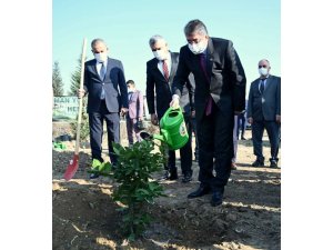 ‘Öğretmenler Günü Hatıra Ormanı’na 50 fidan dikildi