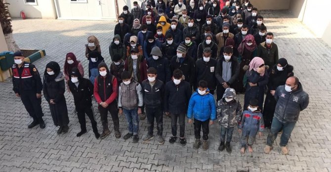 Hatay’da 228 kaçak göçmen yakalandı