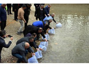 SAREM’de yetiştirilen bin 100 anaç yağ balığı, Seydişehir’de doğayla buluştu