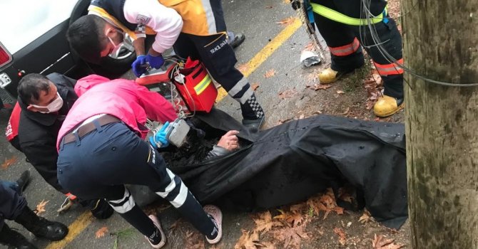 Kozalak toplarken elektrik akımına kapılıp hayatını kaybetti