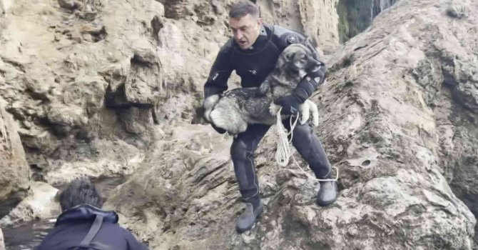 Falezlerde mahsur kalan köpek deniz polisinin ’film gibi’ operasyonuyla kurtarıldı