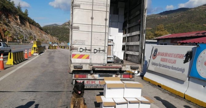 Kamyon kasasında 500 bin liralık makaron çıktı