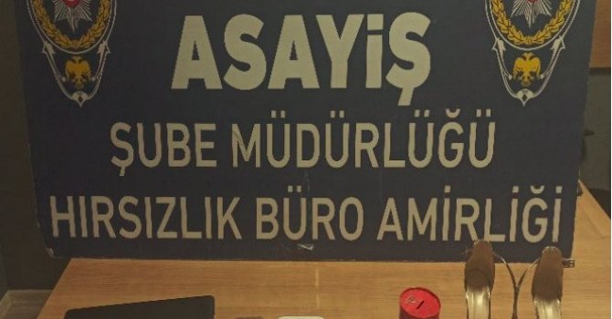 Çilingirle girdikleri evden kediyi bile çaldılar