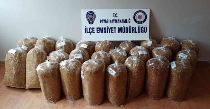 Payas’ta 127 kilo 55 gram gümrük kaçağı tütün ele geçirildi