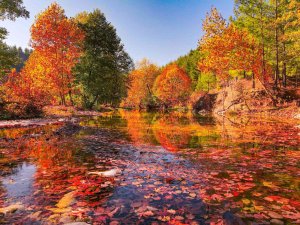 Ayşe Pınarı hayran bırakıyor