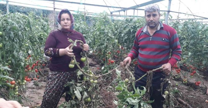 Ne yaptıysa serasını kurtaramadı, cep telefonuyla yaşadıklarını kaydetti