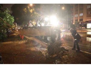 Büyükşehir’den fırtınada zarar gören bölgelere müdahale