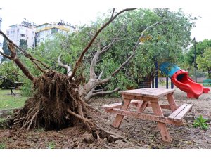 Antalya’da deprem korkusu yaşatan hortum mahalleyi savaş alanına çevirdi