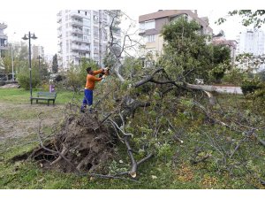 Muratpaşa’da hortumun bıraktığı izler temizleniyor