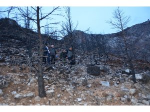 Gülnar’da yanan orman sahaları yeşillendiriliyor