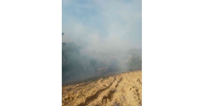 Osmaniye’deki orman yangını büyümeden söndürüldü