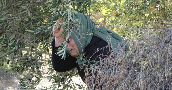 İlaç almak için eczaneye giden kadın, evde anne ve babasının cesedini buldu