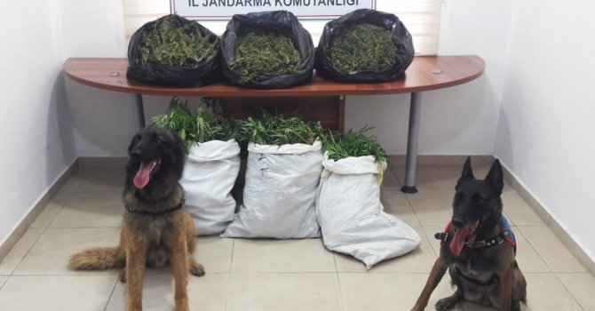 Antalya jandarmasının başarısı