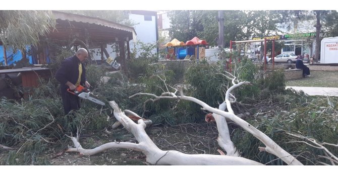 Kozan’da şiddetli fırtına ağaçları devirdi
