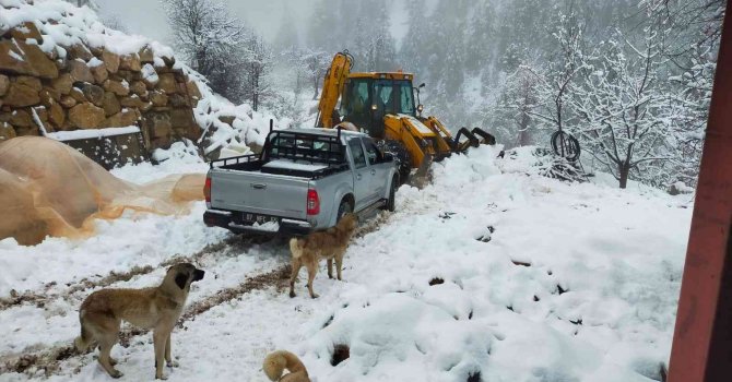 Alanya’da kara saplanan araçta mahsur kalan vatandaşları belediye ekipleri kurtardı