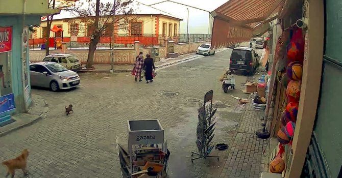 Otomobilin yavru köpeği ezdiği anlar saniye saniye görüntülendi