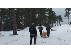 Osmaniye’de sokak ve yaban hayvanlarına mama ve yem desteği
