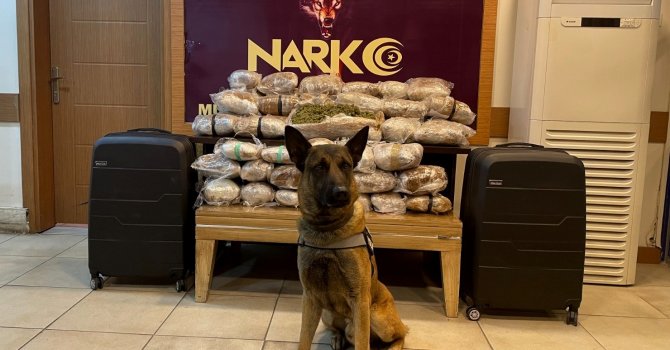 Doğudan batıya uyuşturucu sevkiyatına Osmaniye polisinden darbe