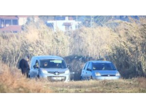 Kuş cennetinde avcılara denetim