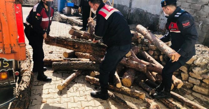 Jandarmadan ihtiyaç sahibi ailelere 10 ton odun yardımı