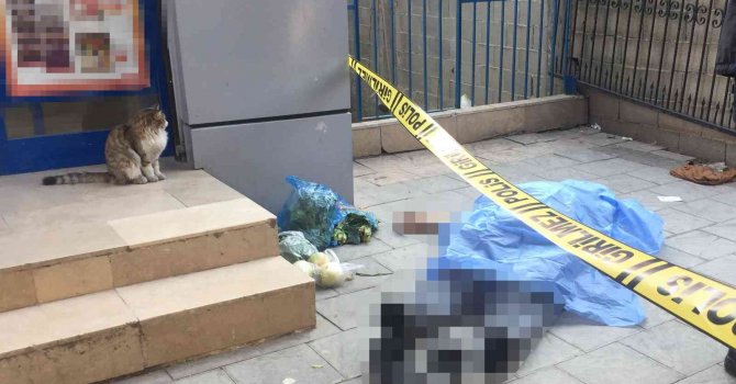 Ölüm alışverişte yakaladı, kedi başından hiç ayrılmadı