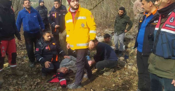 Kaybolan yaşlı adam ağaç kenarında uyurken bulundu