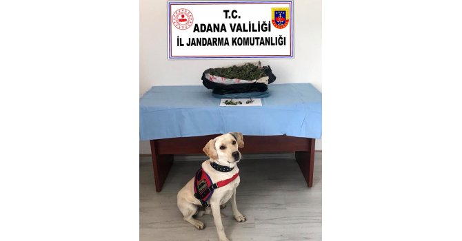 Adana’da uyuşturucu operasyonu: 2 gözaltı