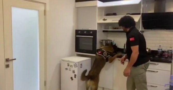 Antalya’da 1 yılda 638 kilogram uyuşturucu madde ele geçirildi